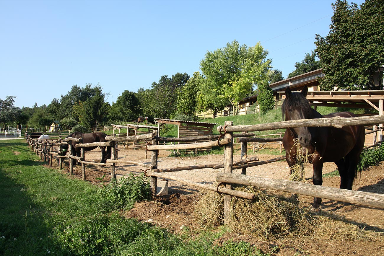 Ranch colli morenici - Lago di Garda