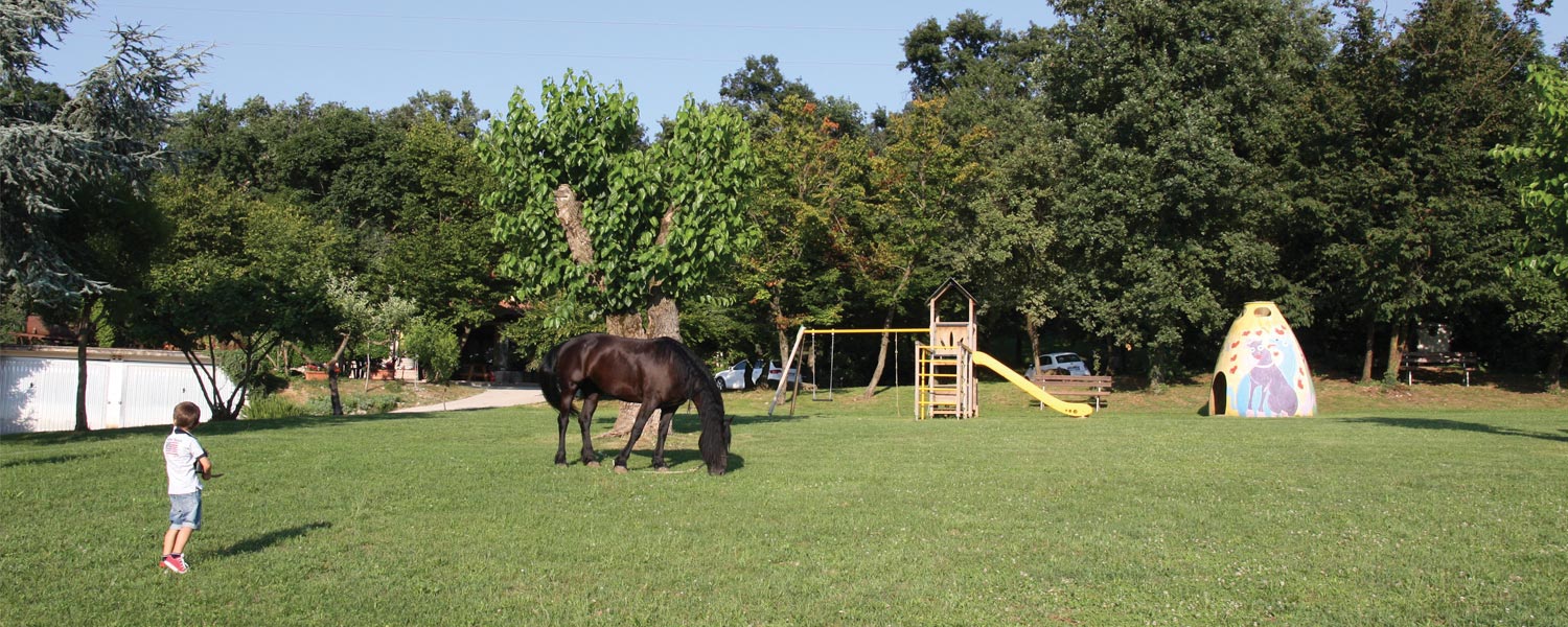 Trakking a cavallo