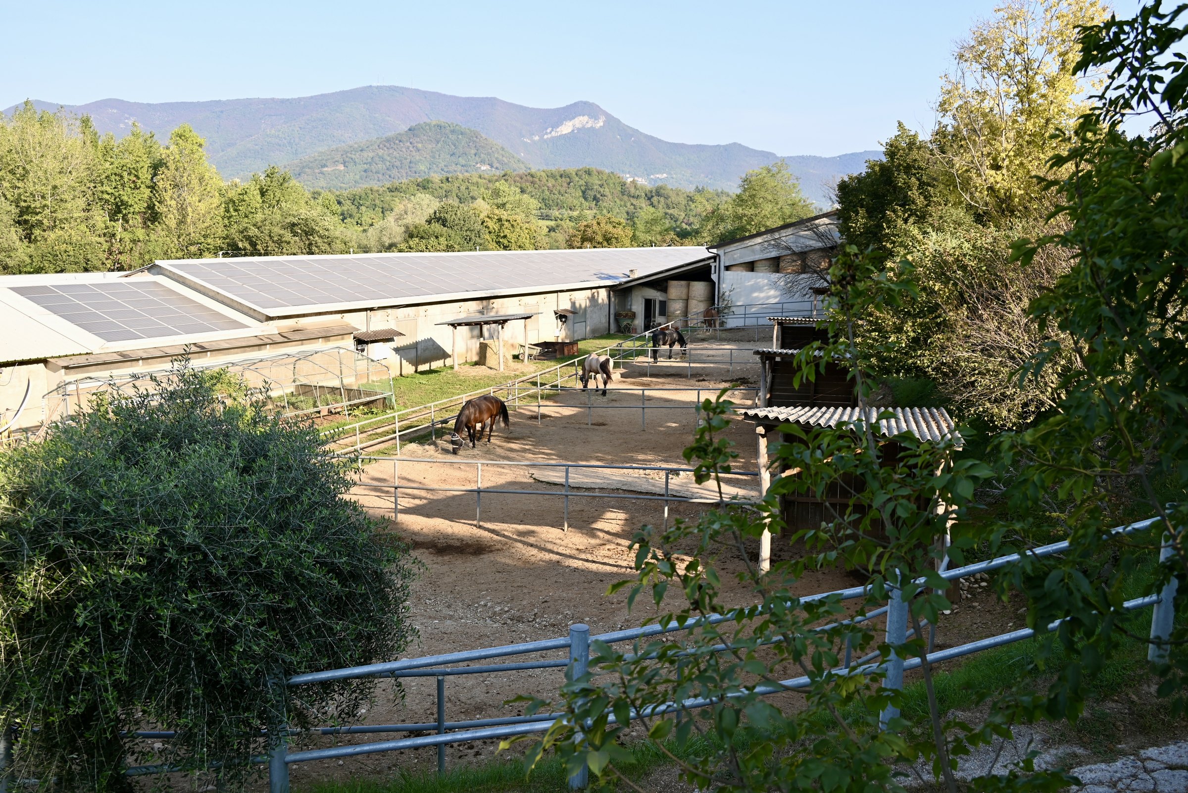 Le scuderie e i paddock del ranch visti dall'alto, con le montagne dietro