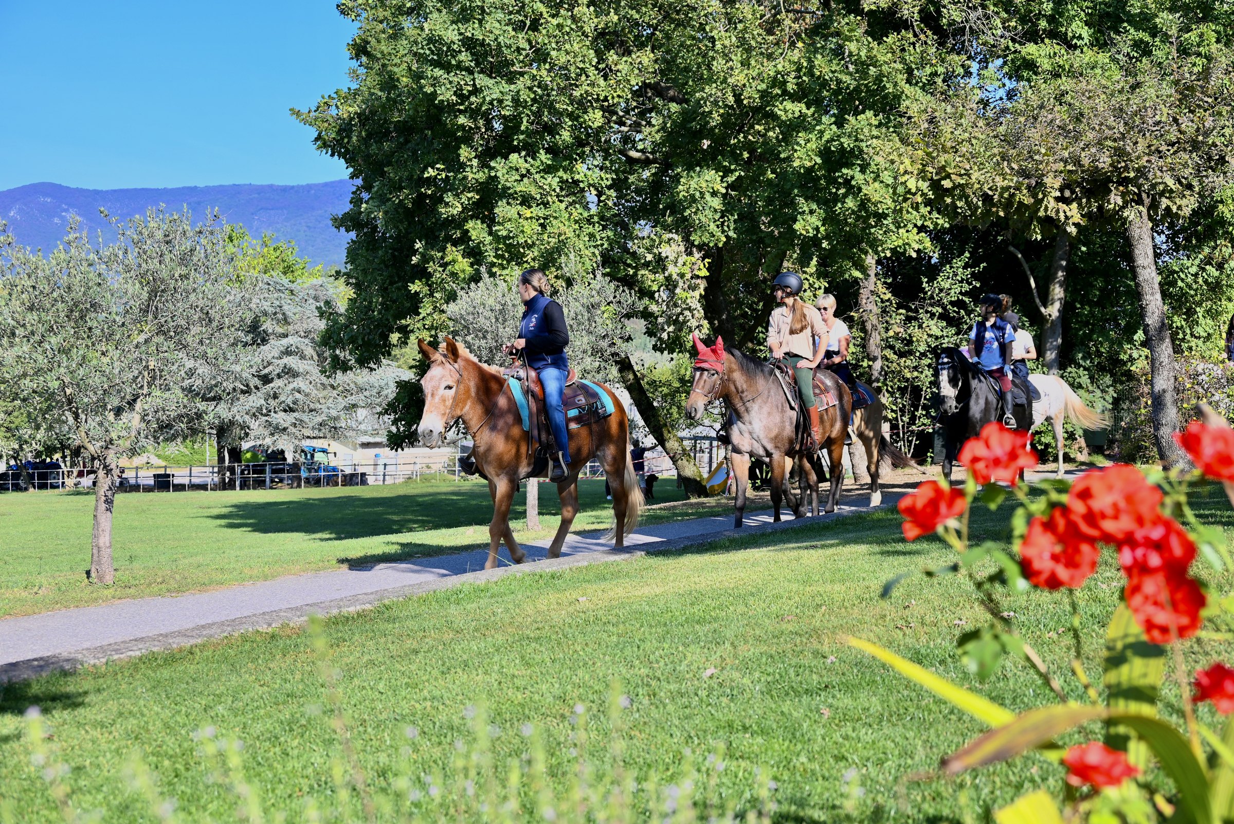 Cavalieri in passeggiata sotto gli alberi, con le montagne sullo sfondo