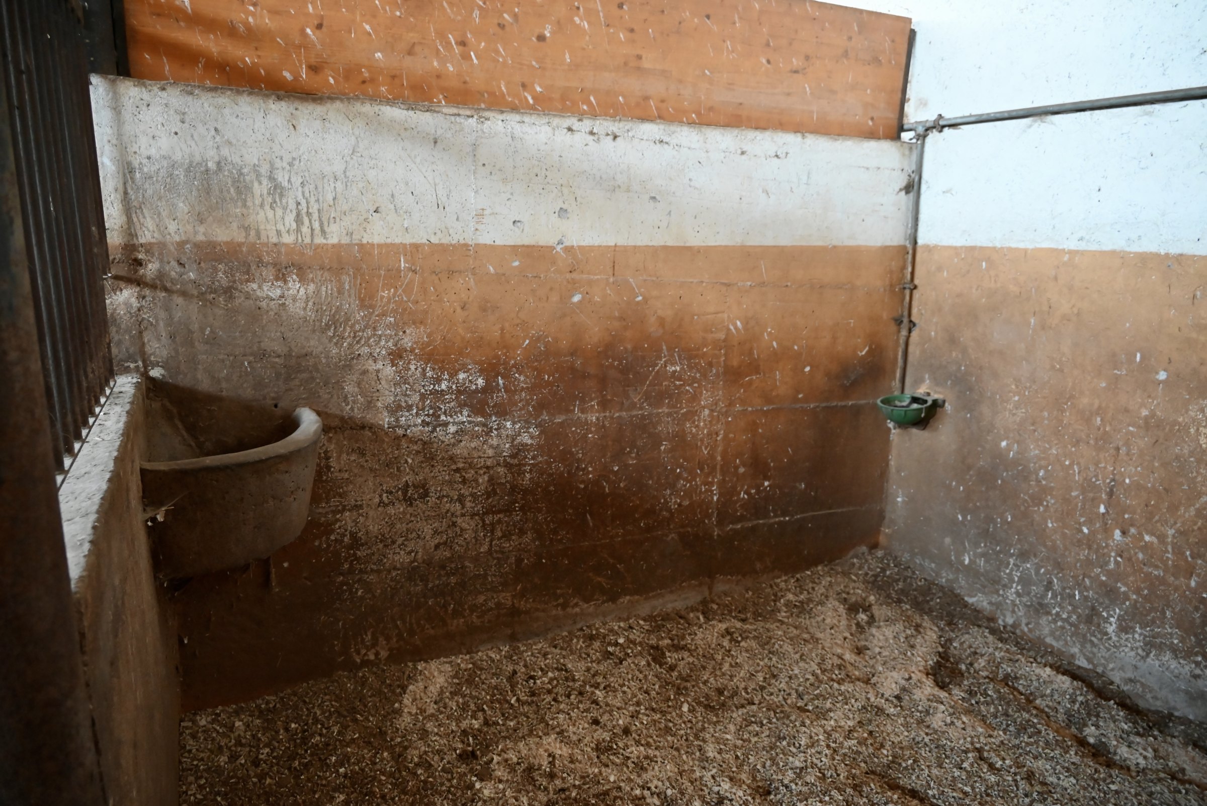 L'interno di un box con la lettiera pulita
