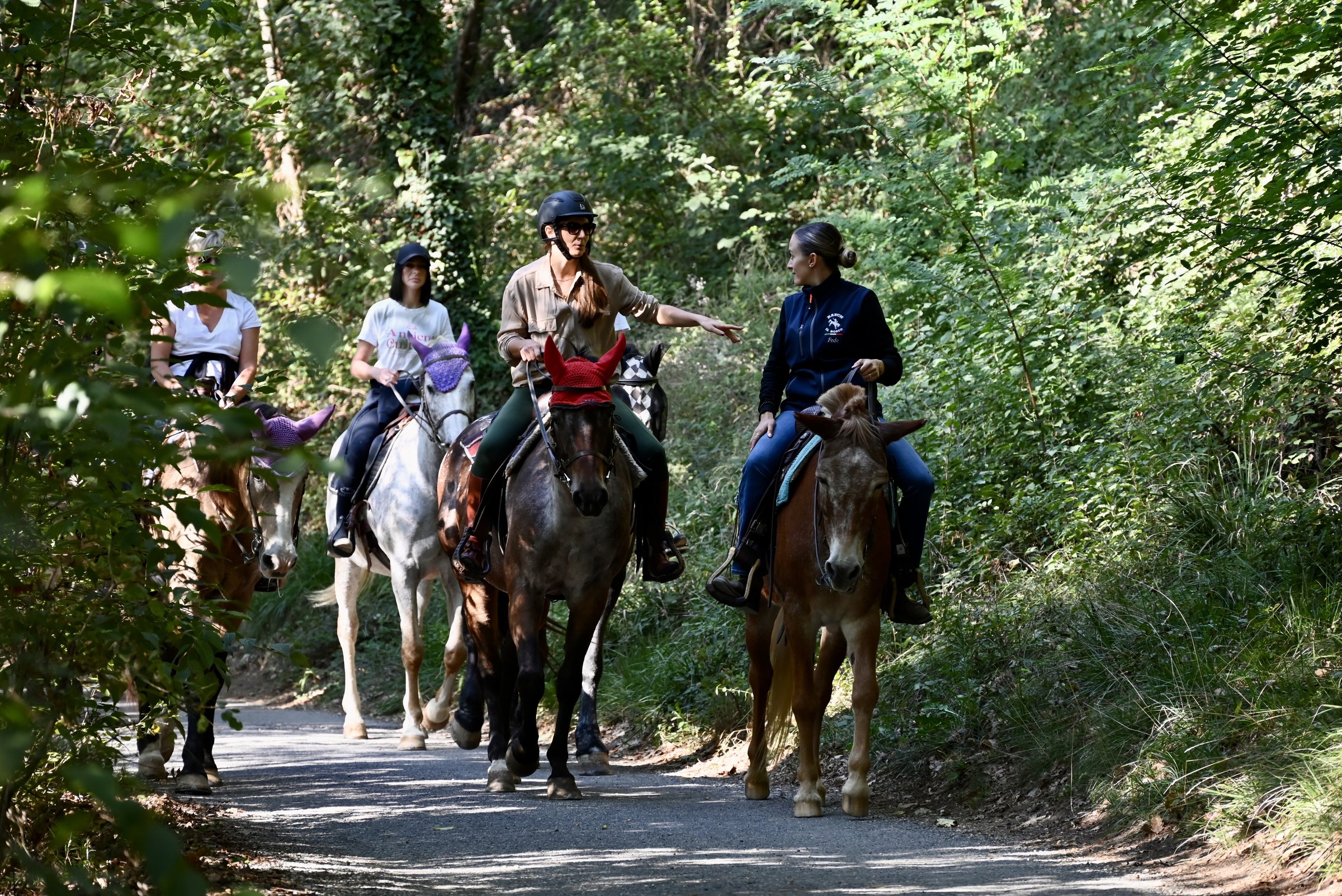 Cavalieri su una strada in mezzo al bosco