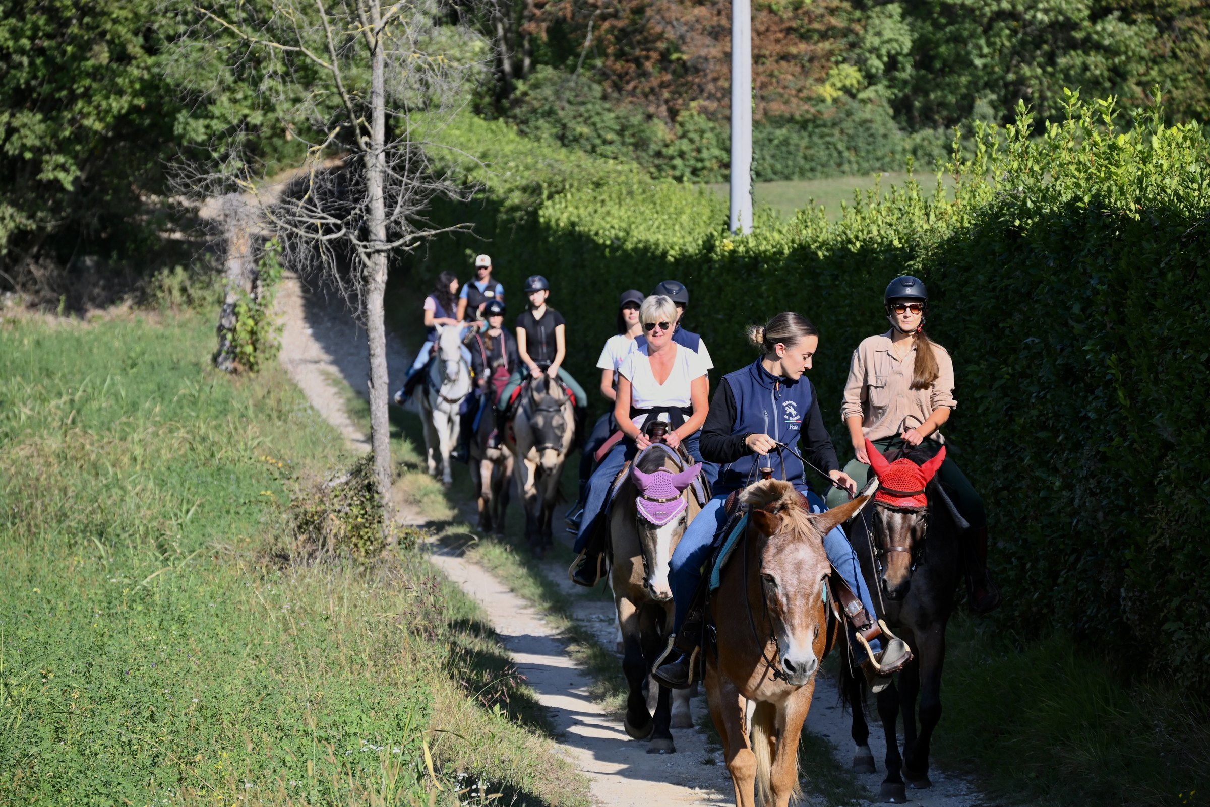 Cavalieri in fila su uno stretto sentiero tra le siepi