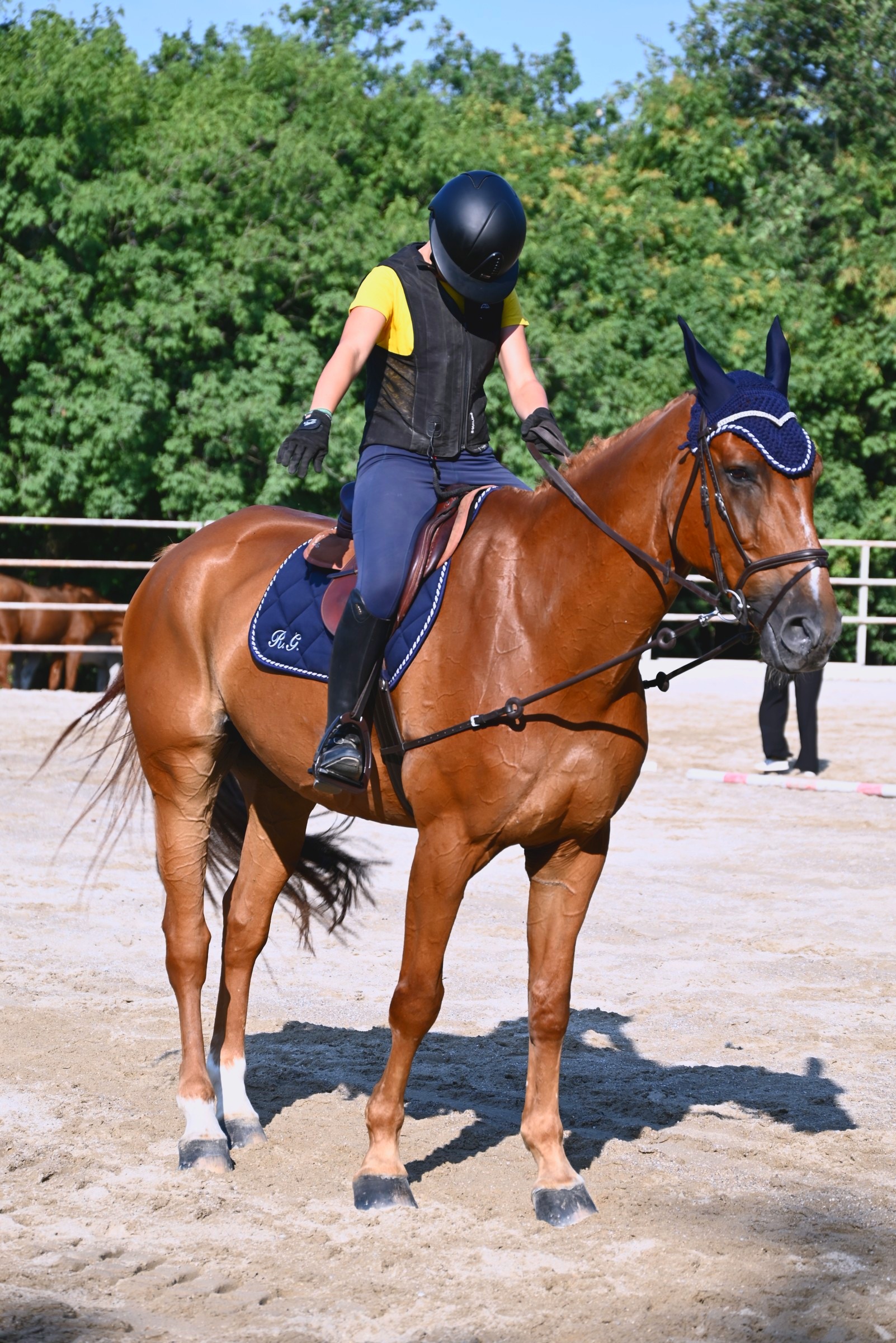 Una cavallerizza su un cavallo sauro nel campo in sabbia