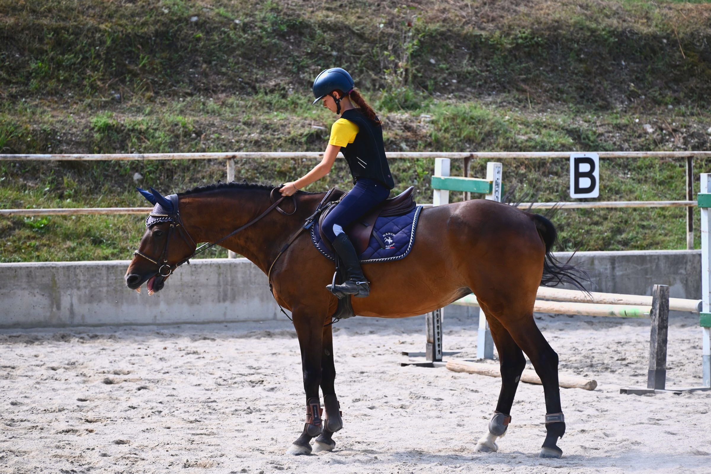 Una cavallerizza su un cavallo bruno vicino agli ostacoli